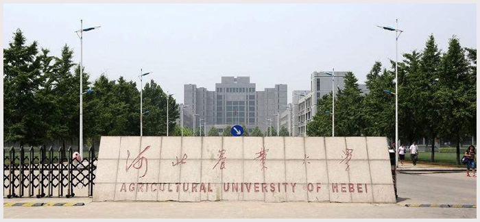 河北農(nóng)業(yè)大學.jpg