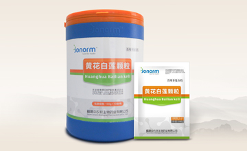 黃花白蓮顆粒